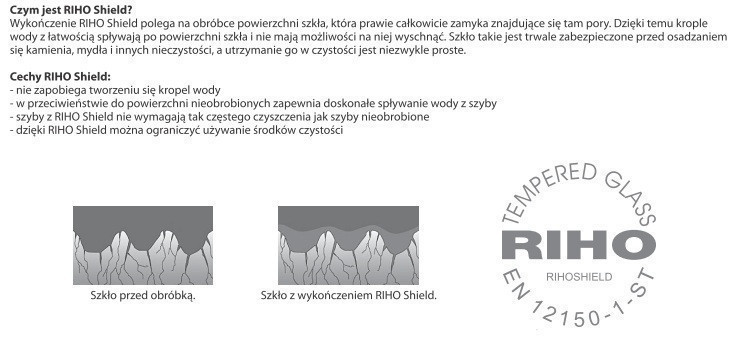 Riho Grid GB201 kabina prostokątna 80x100 drzwi wahadłowe 80 + ścianka 100 czarny przeźroczyste RIHO Shield GB2080100